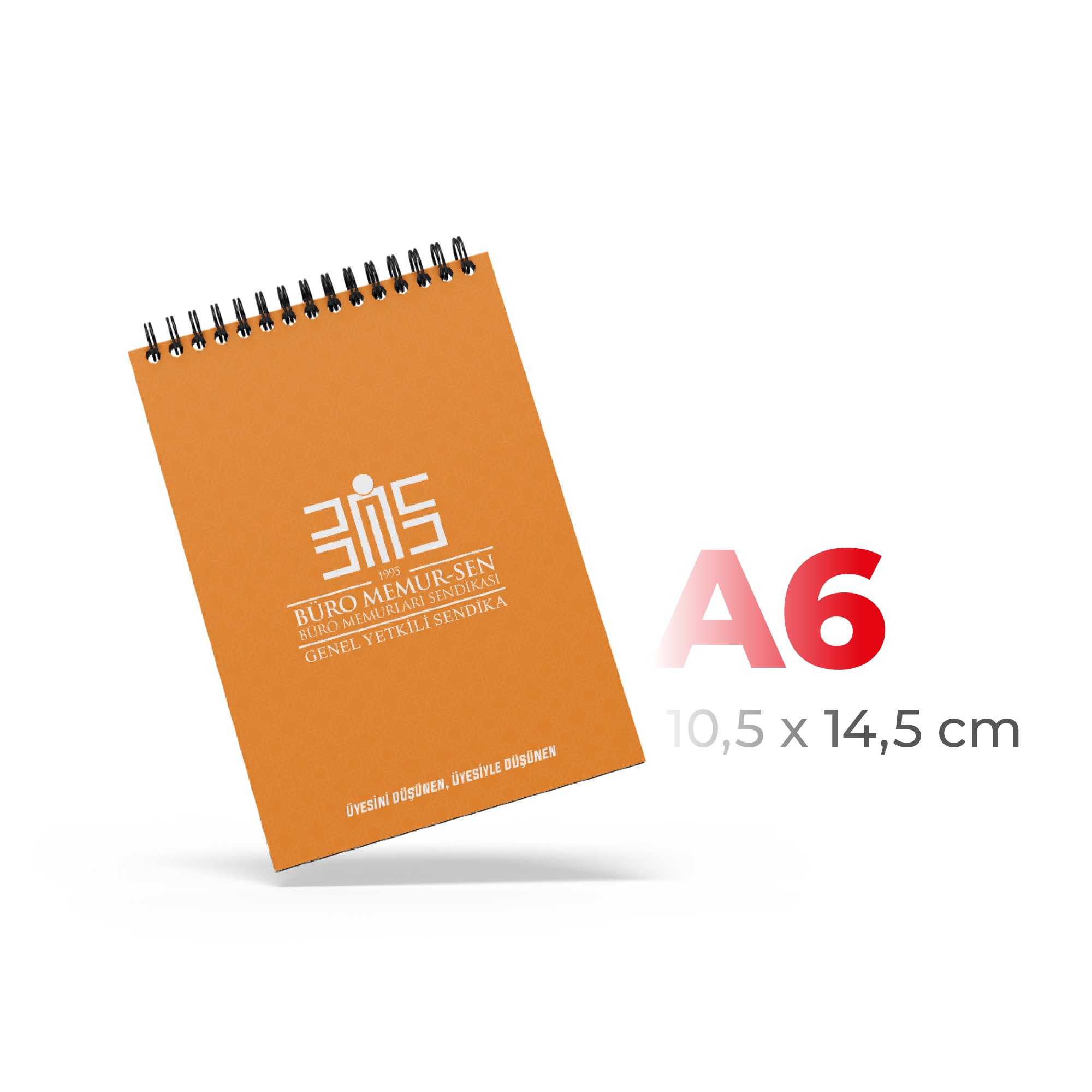 ALA-31  